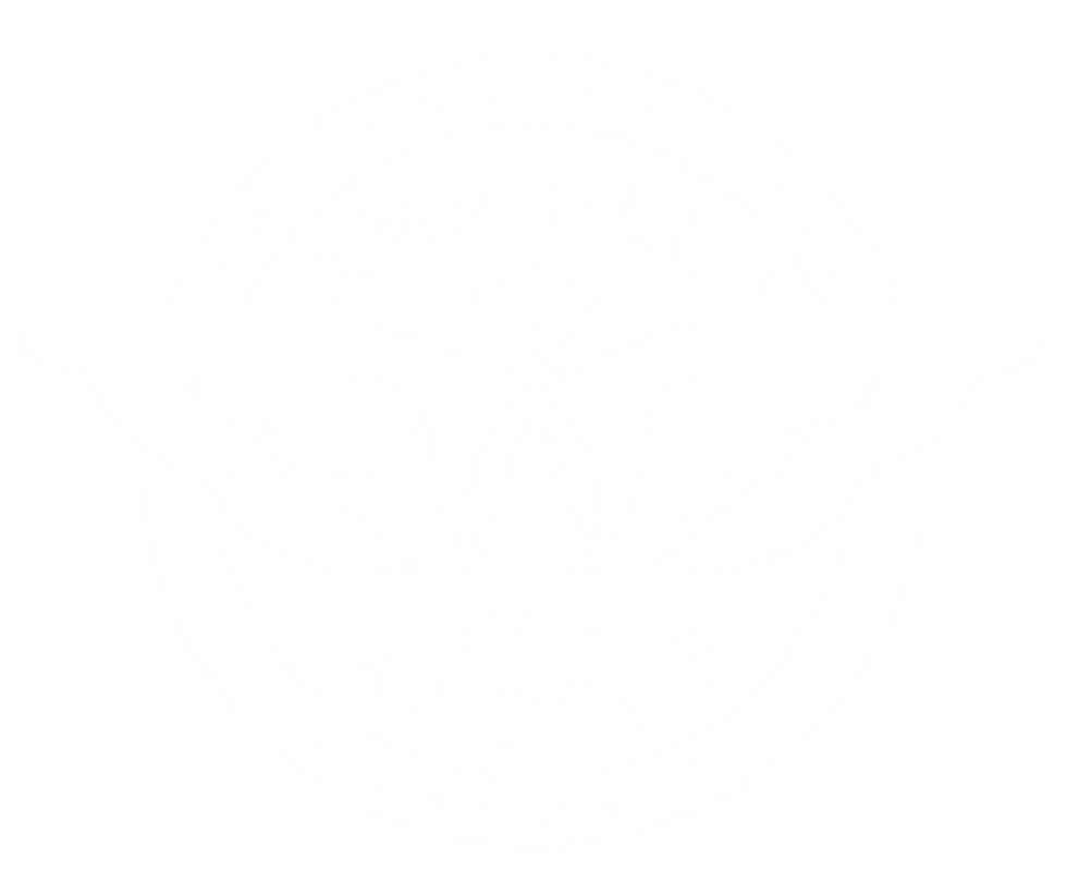 Amarillo Angels Logo_White_500x500.png